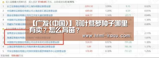 【广发(中国)】羽叶莺萝种子哪里有卖?怎么育苗?(图2) 广发(中国)
