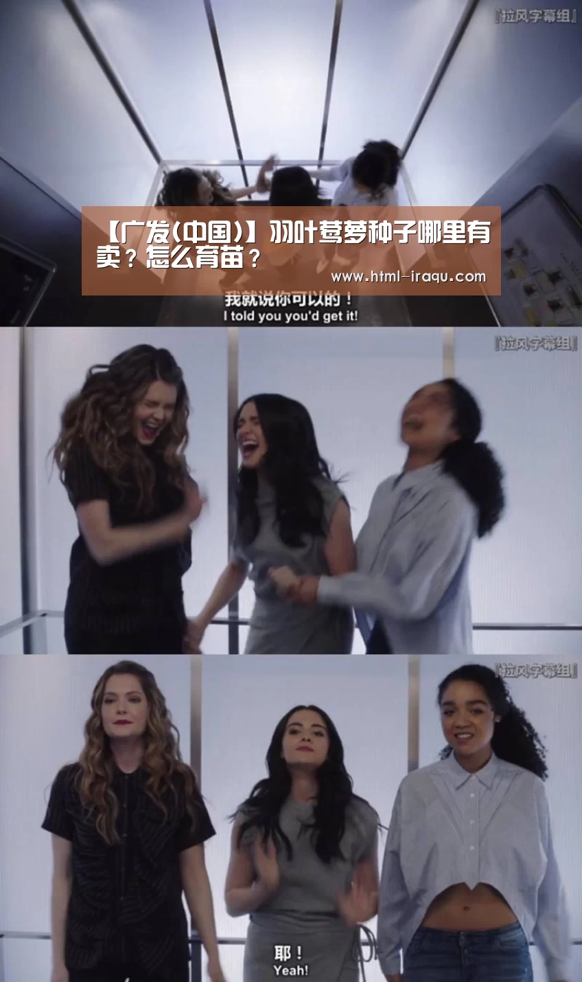 【广发(中国)】羽叶莺萝种子哪里有卖?怎么育苗?(图1) 广发体育