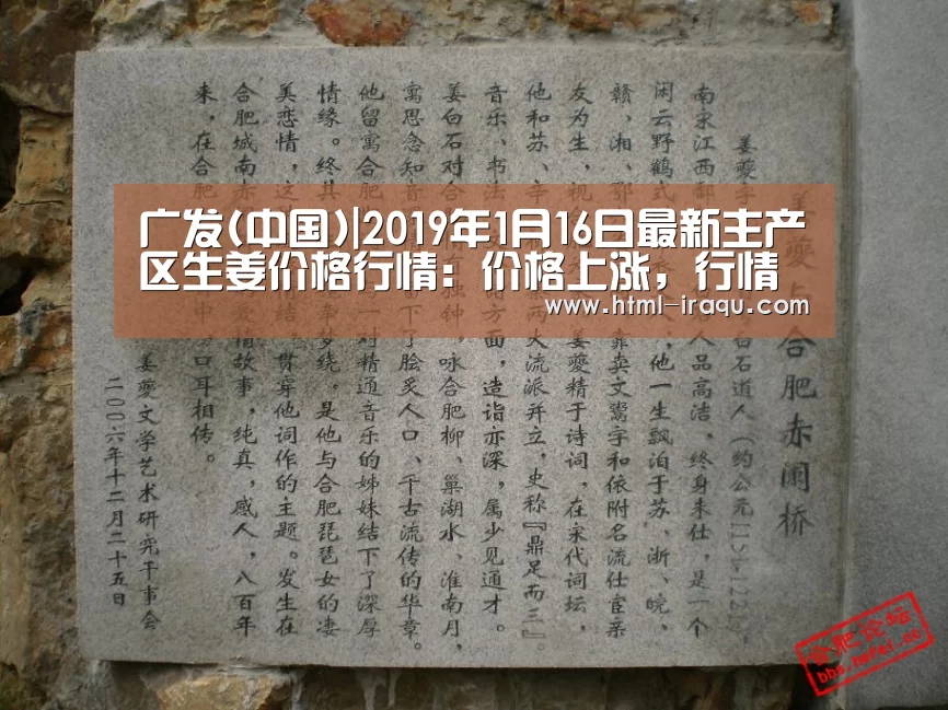 广发(中国)|2019年1月16日最新主产区生姜价格行情:价格上涨,行情稳定!(图2) 广发体育