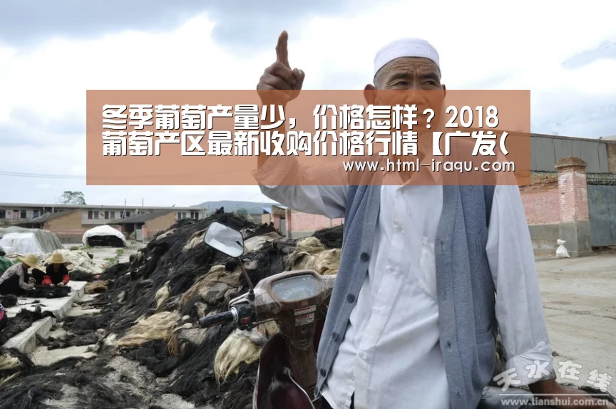 冬季葡萄产量少,价格怎样?2018葡萄产区最新收购价格行情【广发(中国)】(图1) 广发体育