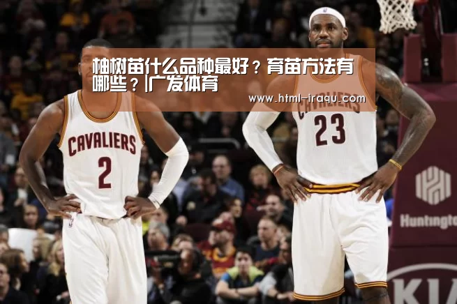 柚树苗什么品种最好?育苗方法有哪些?|广发体育(图1) 广发体育