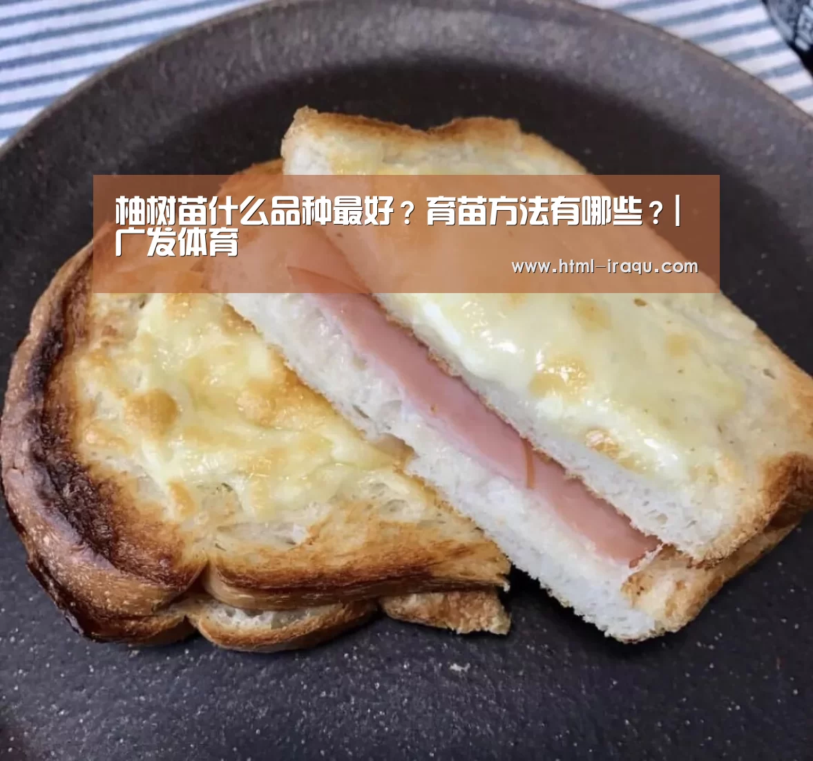 柚树苗什么品种最好?育苗方法有哪些?|广发体育(图3) 广发(中国)