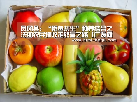 凤冈县:“稻鱼共生”种养结合之法助农民增收走致富之路【广发体育】(图4) 广发体育