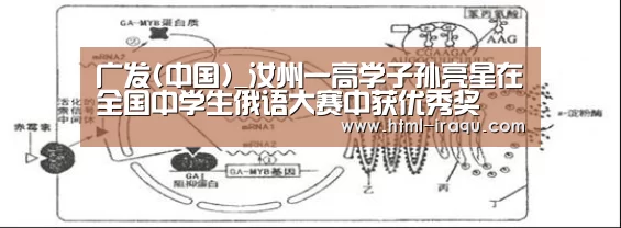 广发(中国)_汝州一高学子孙亮星在全国中学生俄语大赛中获优秀奖(图1) 广发(中国)